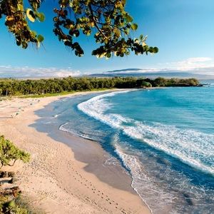 Meet your Posher, Chelsea